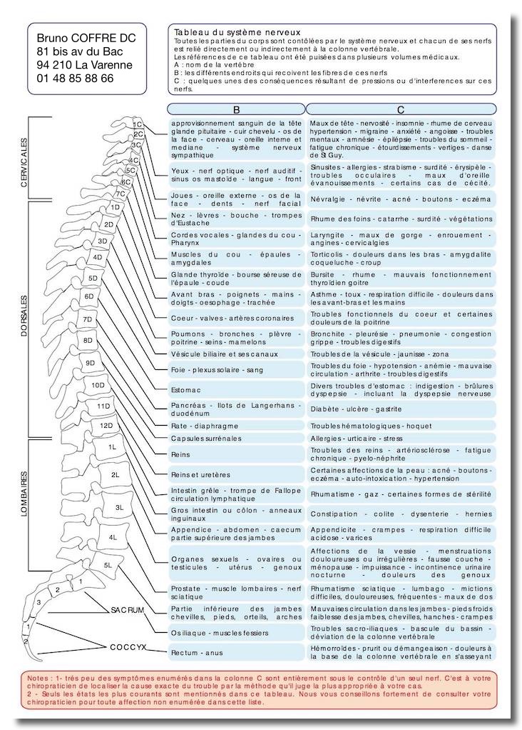 chart-colonne bruno